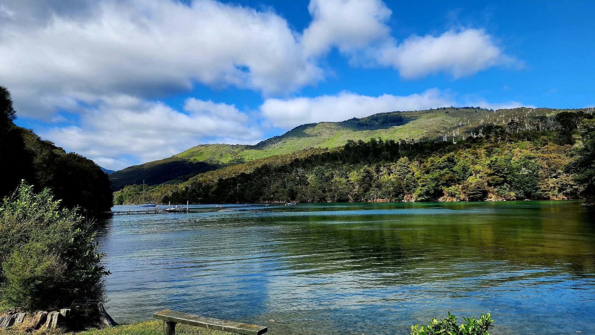 A quiet bay with a jetty and bush-covered hills