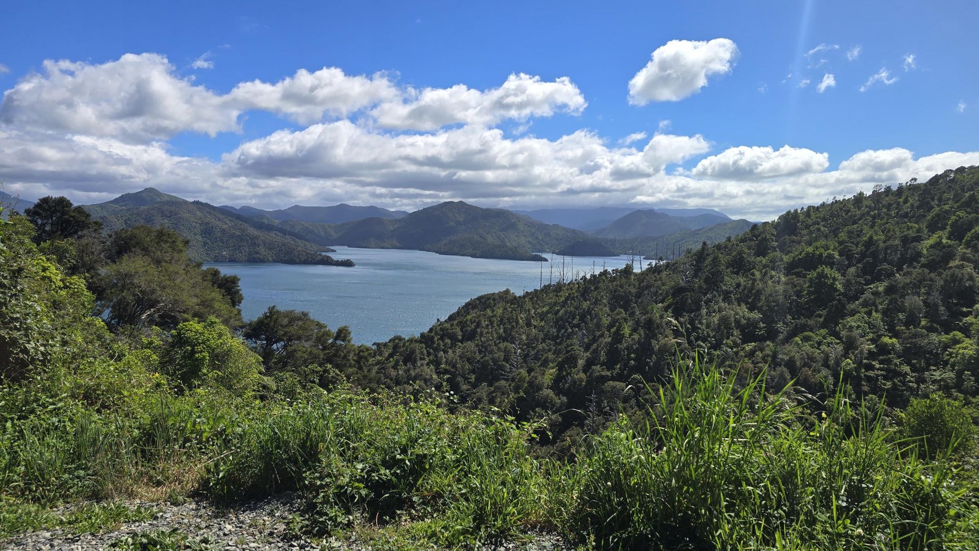 Forested hills folding down to a calm sound under a summer sky