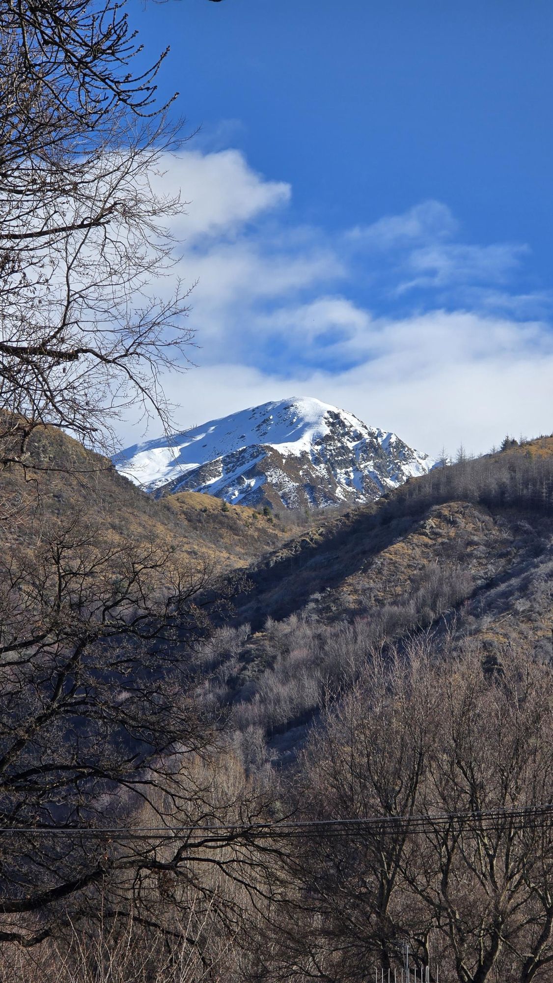 A snow-capped peak above bare winter trees