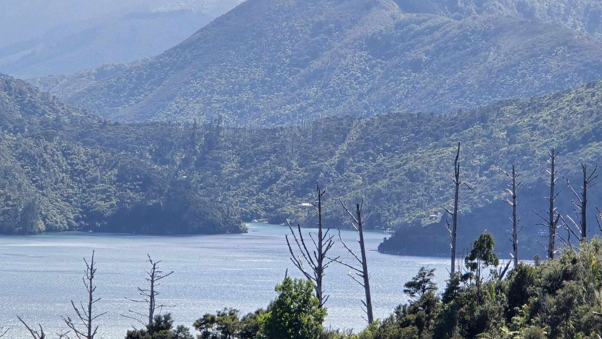 Layered bush-covered hills above a sheltered bay