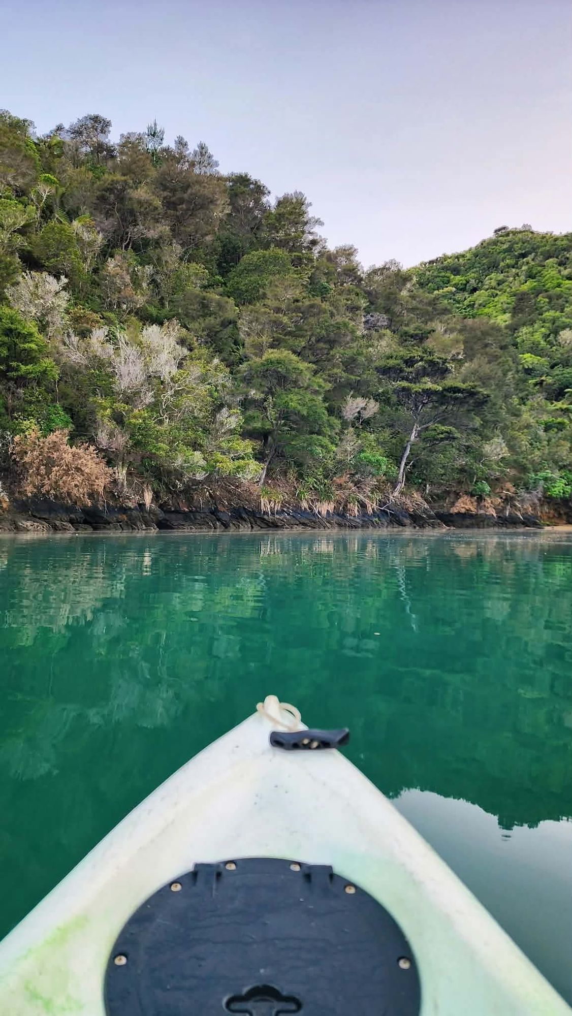Kayak bow on still green water beside native bush
