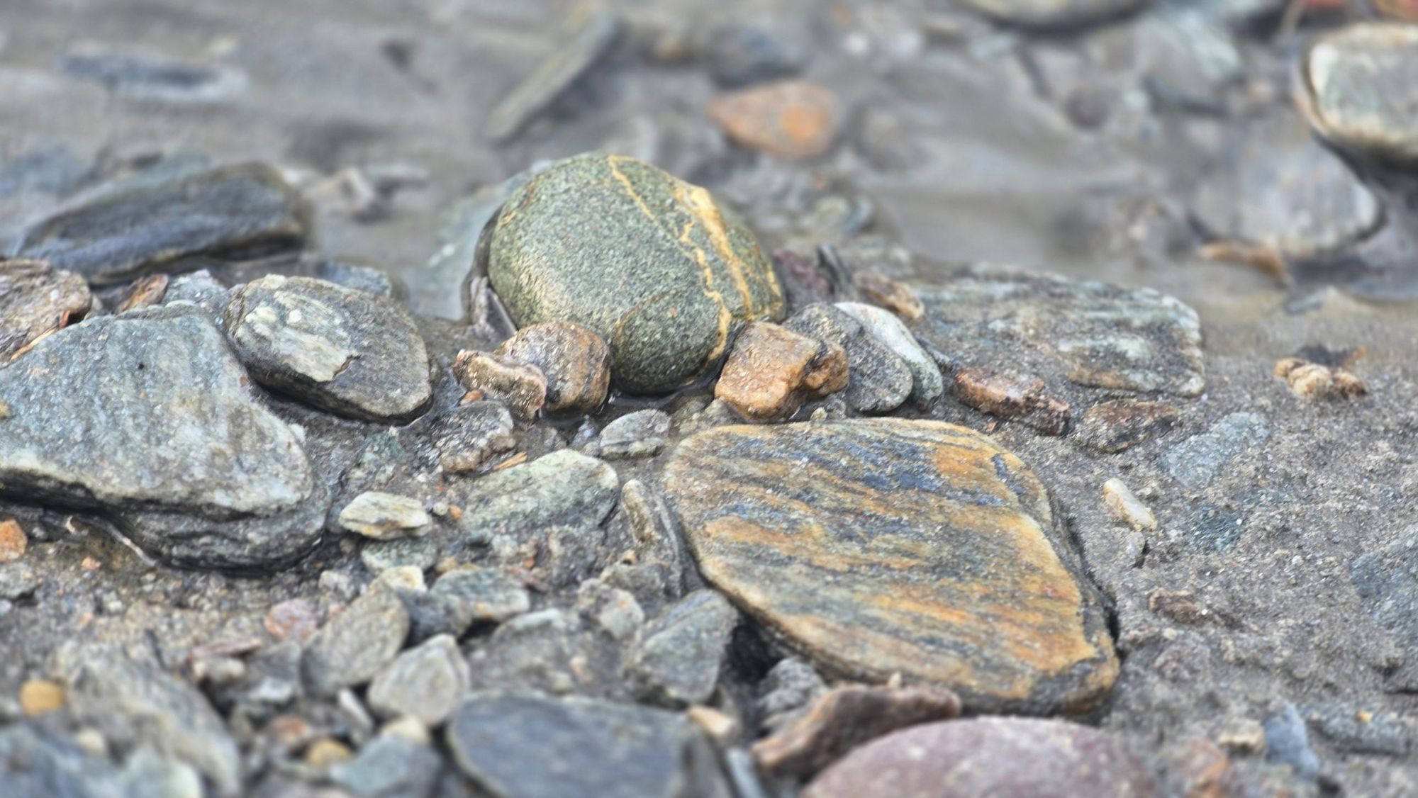 River stones, one veined with gold
